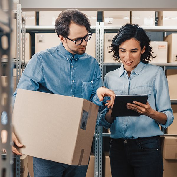 Wholesale & Distribution Mastery